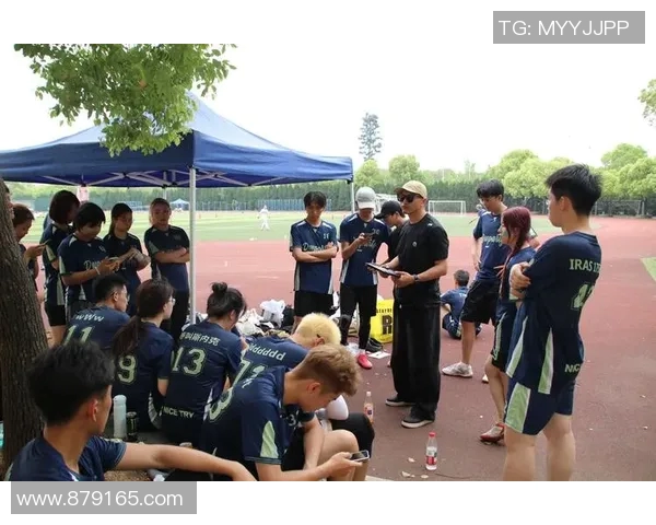 杭州飞盘队中路突破创新之路探秘与战术分析